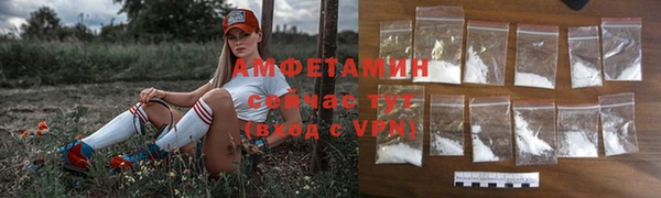 прущие грибы Надым