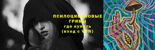 стаф Навашино