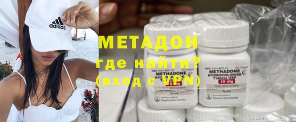 прущие грибы Надым