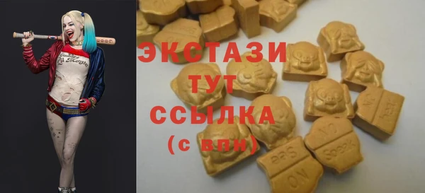 прущие грибы Надым