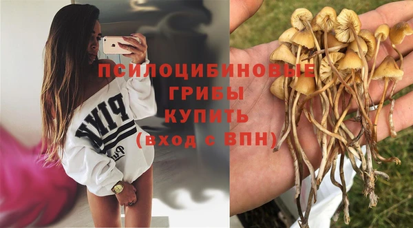 apvp Михайлов