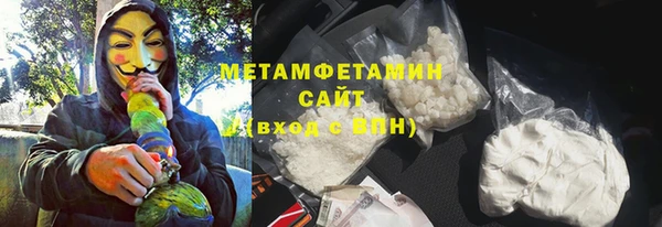 прущие грибы Надым